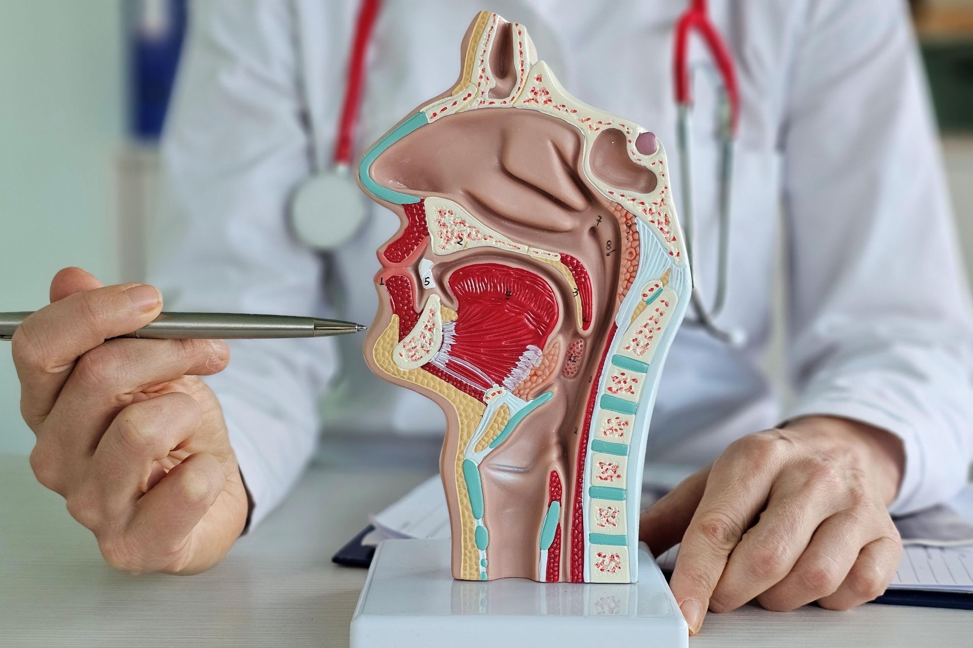 Head and Neck Surgery